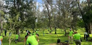 Con apoyo de voluntarios, Fundación Traxión y Bosques Urbanos reforestan Los Colomos