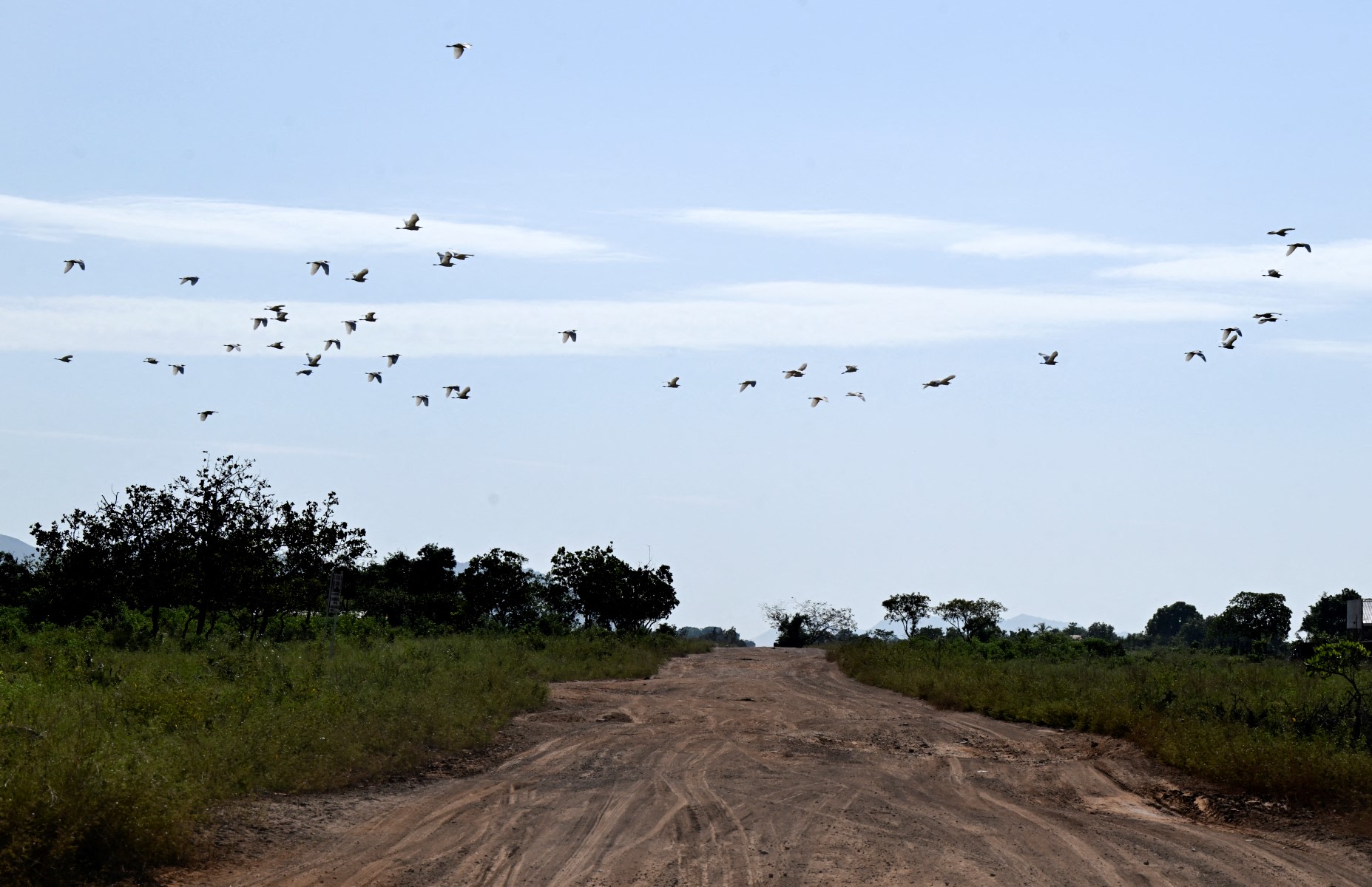 Una legendaria ruta es vista como un salvavidas económico en Guyana