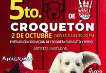 Realizarán el 5to Festival Croquetón para apoyar a perros y gatos sin hogar