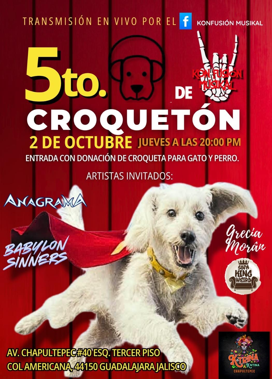 Realizarán el 5to Festival Croquetón para apoyar a perros y gatos sin hogar