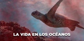La vida en los océanos - El Expresso de las 10 - Vi. 05 Septiembre 2025