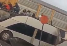 Tren arrolla autobús y deja ocho muertos en Estado de México