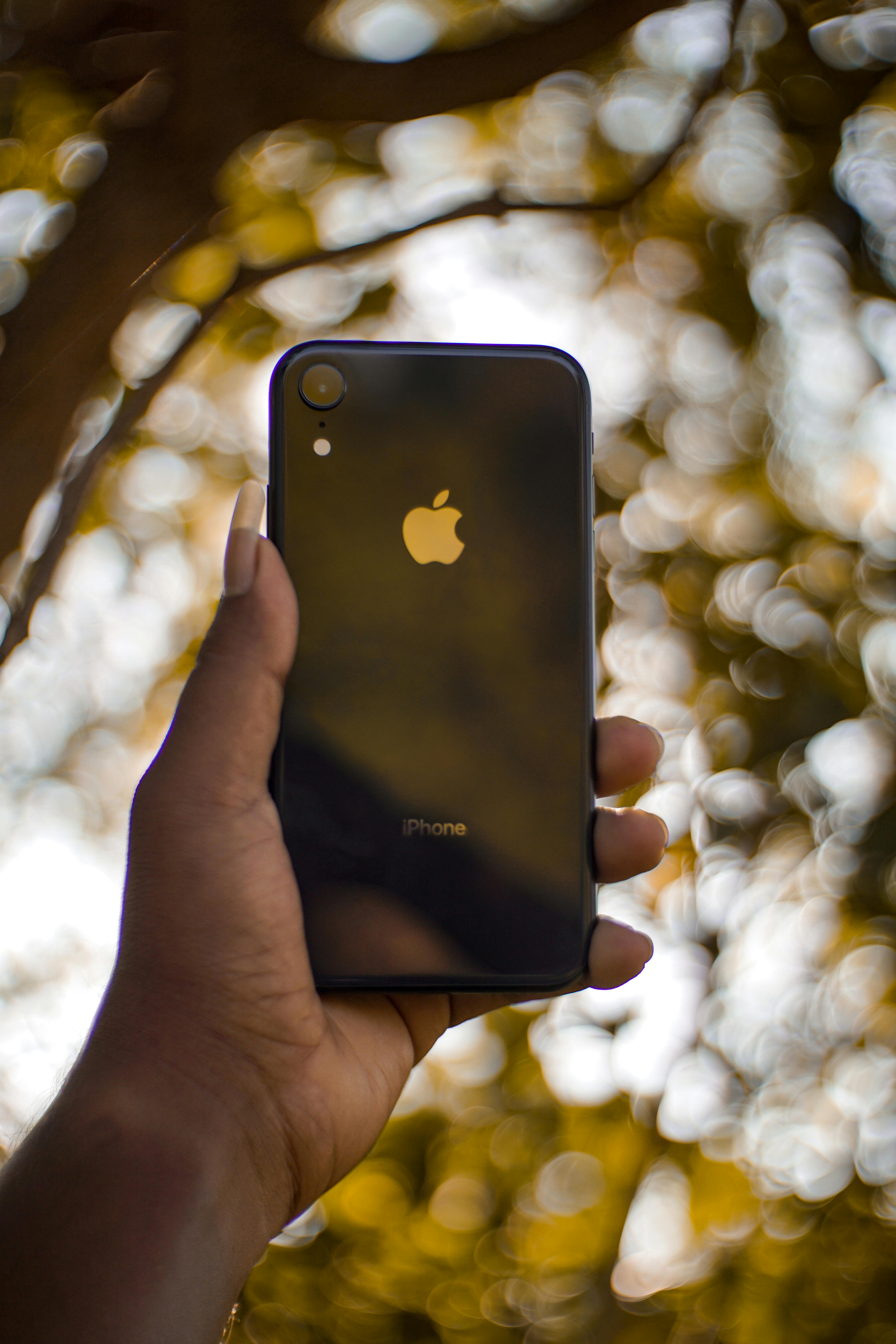 Apple podría lanzar en su evento un iPhone 17 ultrafino y rediseños de los modelos Pro