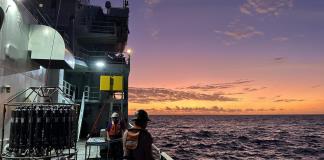 El calentamiento oceánico amenaza a unos microbios esenciales para la fotosíntesis global