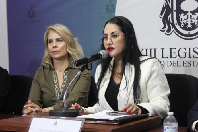 Diputada pide nueva revisión a dictamen que aumenta penas por apología del delito