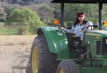 Ingeniería en Agronomía del CU Costa Sur impulsa producción sustentable y seguridad alimentaria