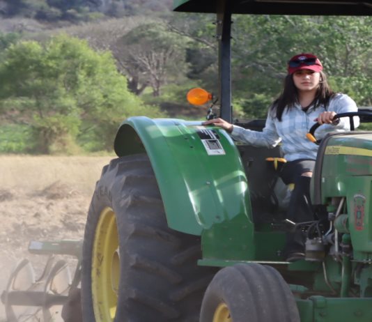 Ingeniería en Agronomía del CU Costa Sur impulsa producción sustentable y seguridad alimentaria