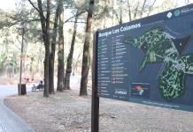 Tribunal analizará construcción de Torre junto a Colomos con óptica medioambiental