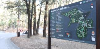 Tribunal analizará construcción de Torre junto a Colomos con óptica medioambiental