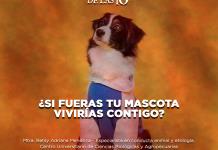 ¿Si fueras tu mascota vivirías contigo? - El Expresso de las 10 - Mi. 10 Septiembre 2025