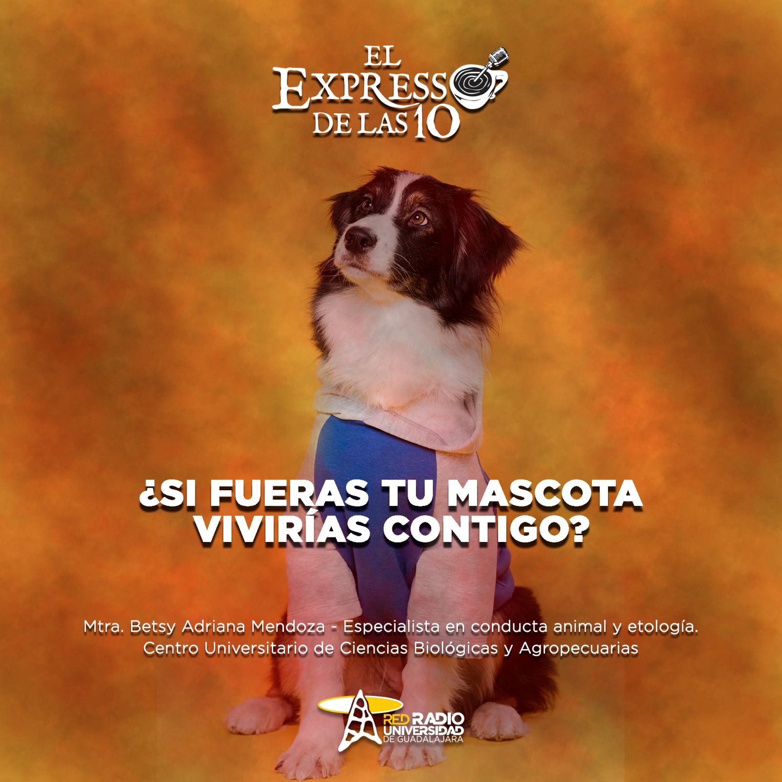 ¿Si fueras tu mascota vivirías contigo? - El Expresso de las 10 - Mi. 10 Septiembre 2025 ¿Si fueras tu mascota vivirías contigo? - El Expresso de las 10 - Mi. 10 Septiembre 2025