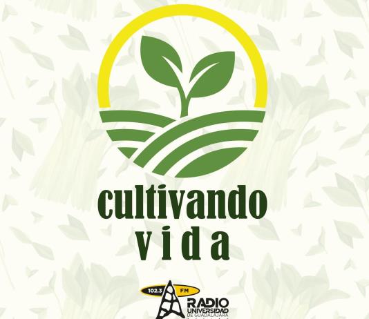 Cultivando Vida 120925