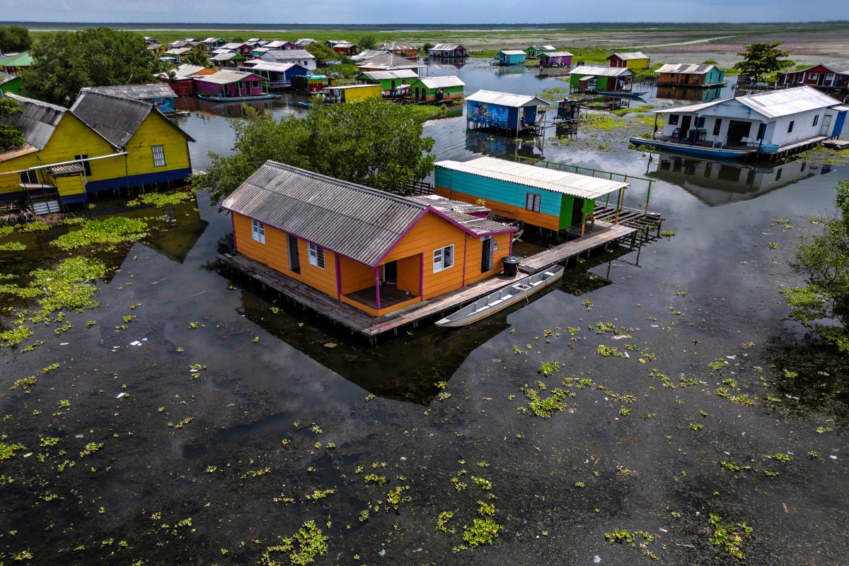 Una planta invasora amenaza con desaparecer un pueblo de pescadores en Colombia Una planta invasora amenaza con desaparecer un pueblo de pescadores en Colombia