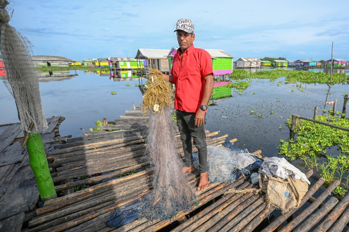 Una planta invasora amenaza con desaparecer un pueblo de pescadores en Colombia Una planta invasora amenaza con desaparecer un pueblo de pescadores en Colombia