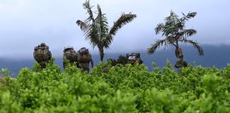 Colombia se prepara para posible pérdida de certificación en lucha antidrogas por parte de EEUU