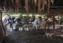 Las viviendas con pisos de tierra: el reflejo de la pobreza