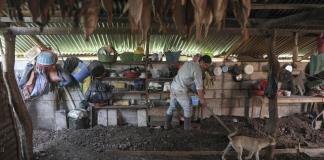 Las viviendas con pisos de tierra: el reflejo de la pobreza