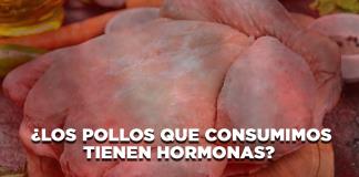 ¿Los pollos que consumimos tienen hormonas? - El Expresso de las 10 - Lu. 15 Septiembre 2025