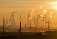 El calentamiento global acelerará las emisiones de CO2 de los suelos tropicales