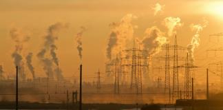 El calentamiento global acelerará las emisiones de CO2 de los suelos tropicales