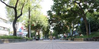 Cerrarán Chapultepec por el Día Sin Auto; actividades no promueven alternativas de transporte