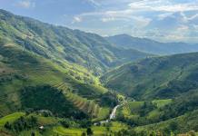 América Latina destaca por su crecimiento en las patentes para tecnologías agrícolas