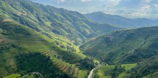 América Latina destaca por su crecimiento en las patentes para tecnologías agrícolas