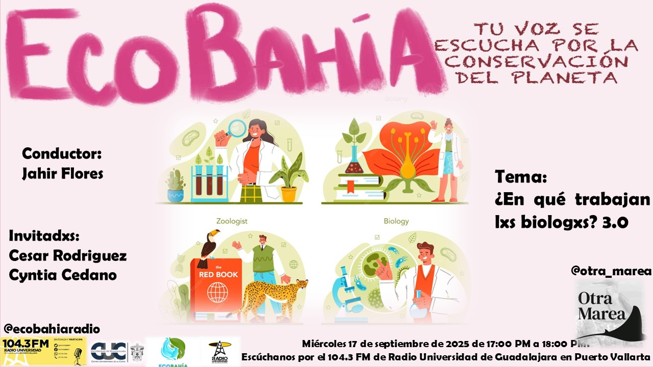 Ecobahía - 17 de Septiembre del 2025