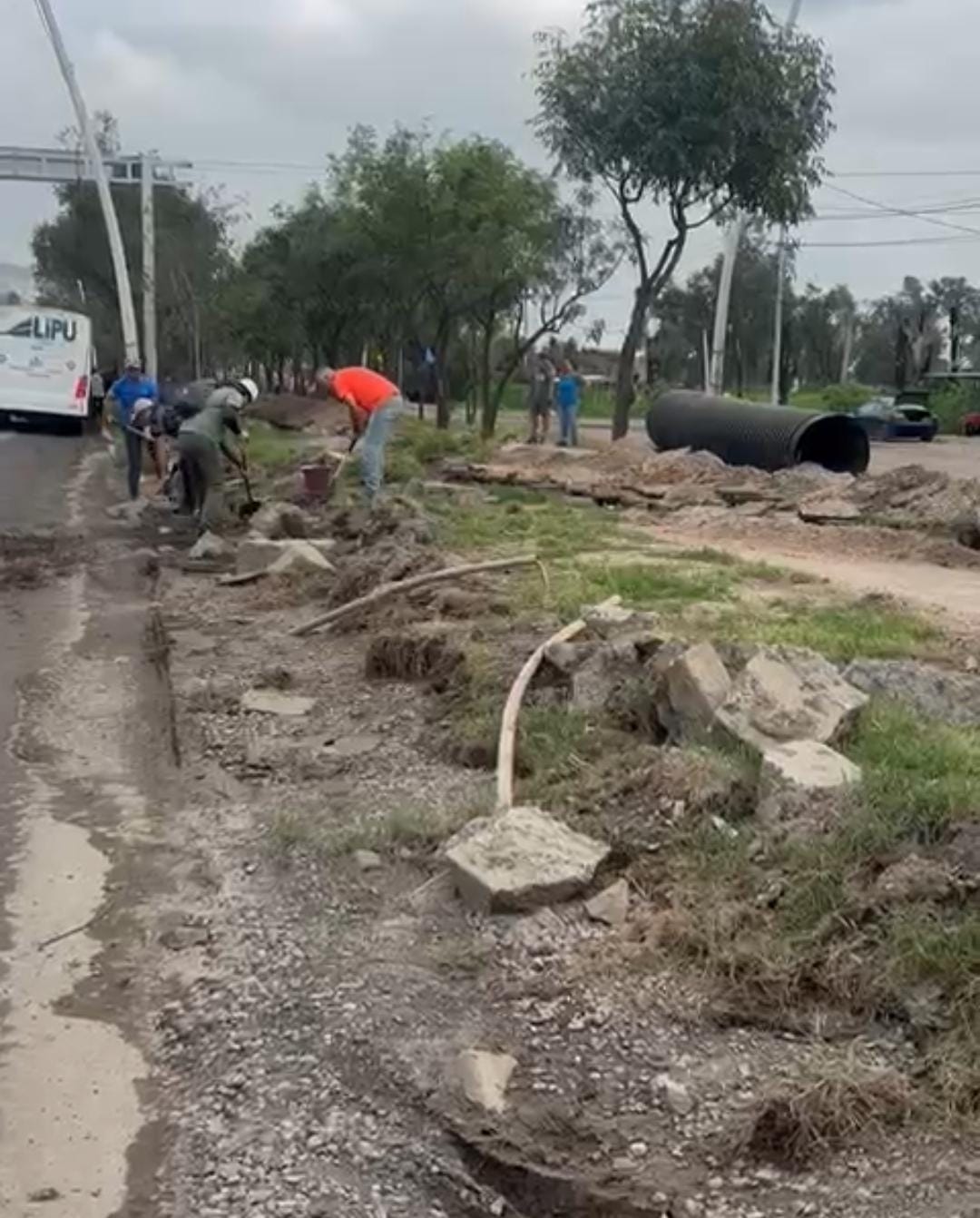 Ante demora de la autoridad, vecinos bachean con sus propios recursos la avenida Adolf Horn