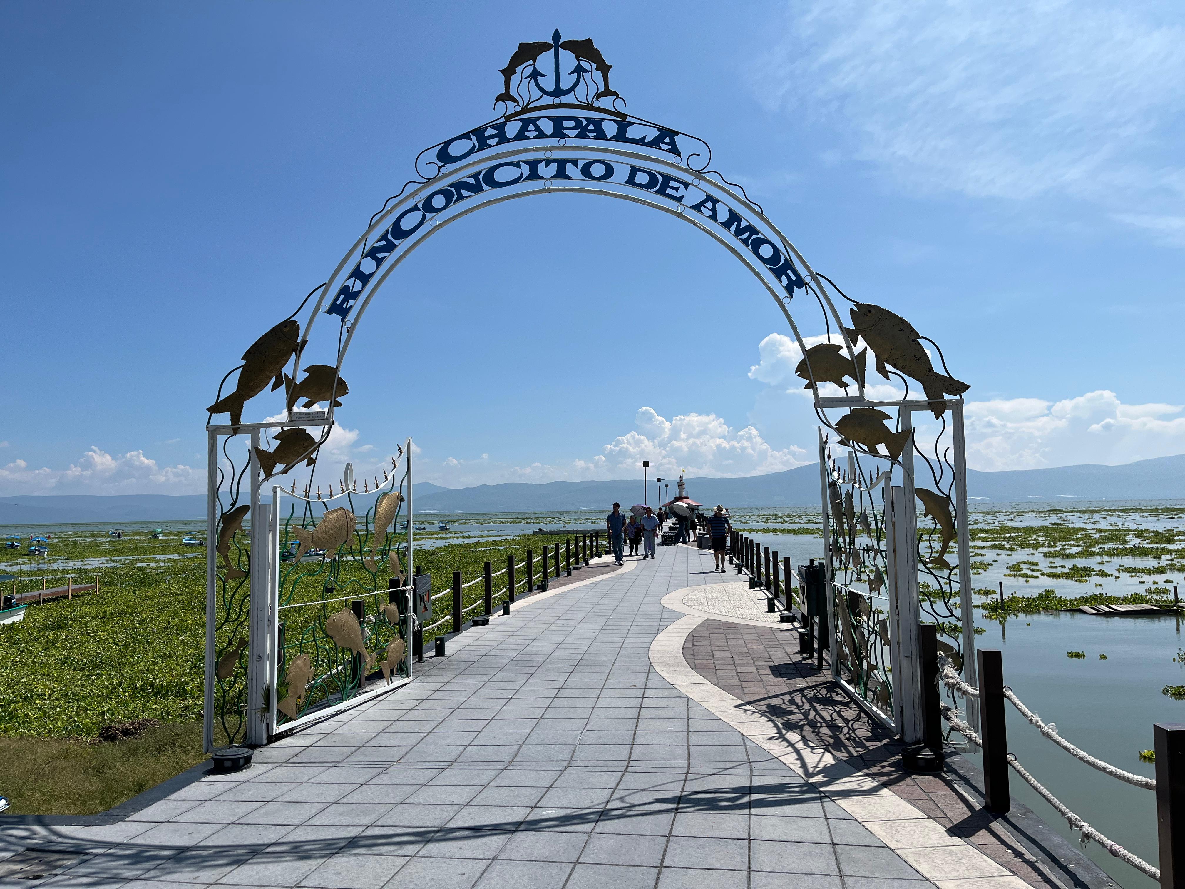 Lago de Chapala supera el 70% de capacidad; habitantes y visitantes piden limpieza de lirio Lago de Chapala supera el 70% de capacidad; habitantes y visitantes piden limpieza de lirio