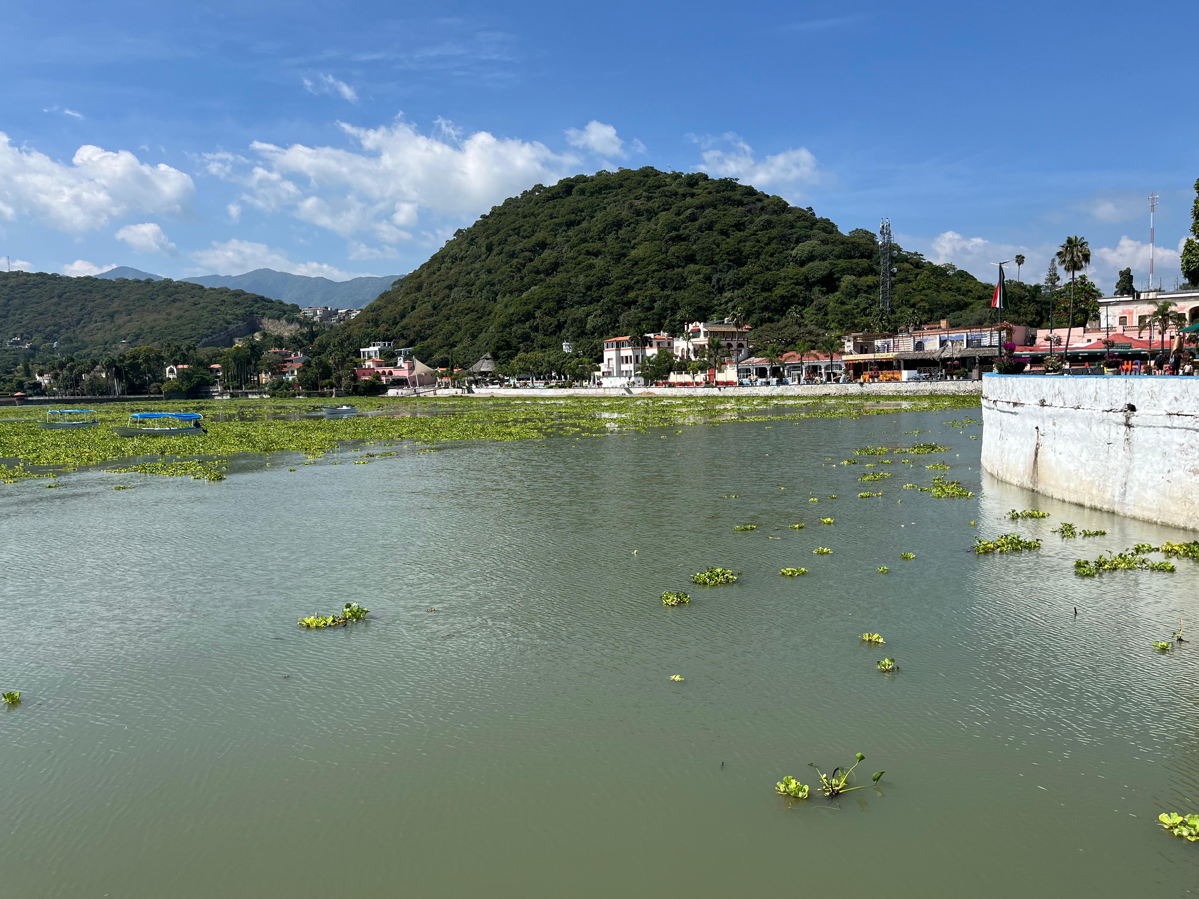 Lago de Chapala supera el 70% de capacidad; habitantes y visitantes piden limpieza de lirio Lago de Chapala supera el 70% de capacidad; habitantes y visitantes piden limpieza de lirio