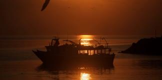 El Tratado de Alta Mar entrará oficialmente en vigor el próximo 17 de enero