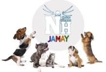 Narices húmedas invita a campaña de adopción de perros y gatos en Jamay