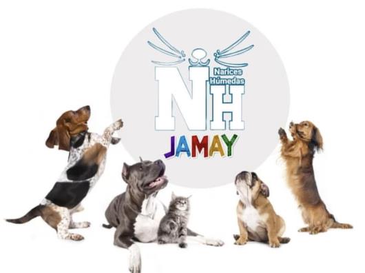 Narices húmedas invita a campaña de adopción de perros y gatos en Jamay