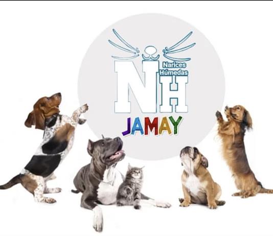 Narices húmedas invita a campaña de adopción de perros y gatos en Jamay