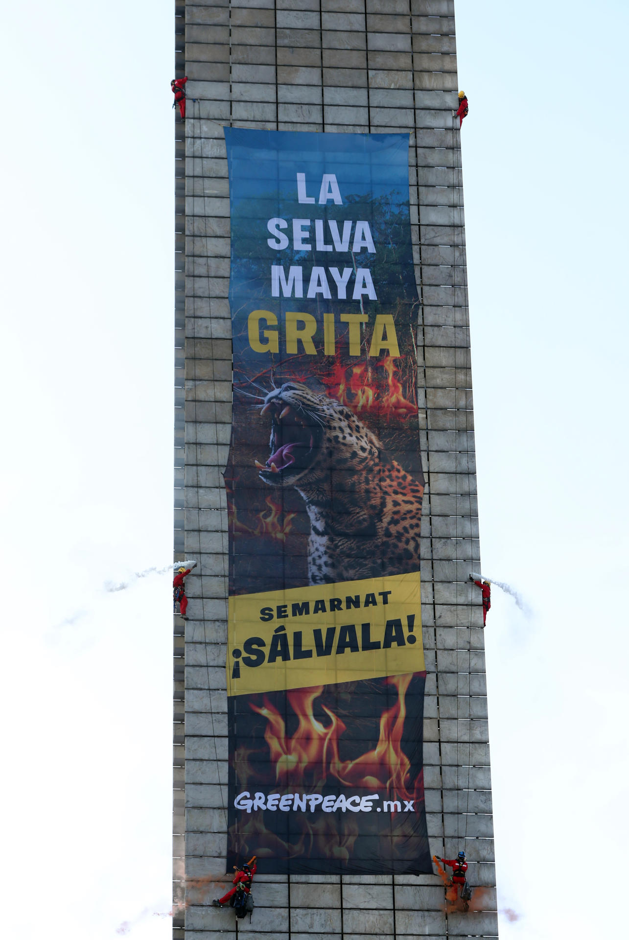 Una protesta de Greenpeace pide al Gobierno mexicano proteger la Selva Maya