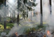 Científicos mexicanos crean un sistema para detectar humo de incendios casi en tiempo real
