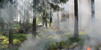 Científicos mexicanos crean un sistema para detectar humo de incendios casi en tiempo real
