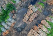 La UE propone aplazar hasta 2026 la aplicación de la ley contra la deforestación