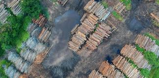 La UE propone aplazar hasta 2026 la aplicación de la ley contra la deforestación