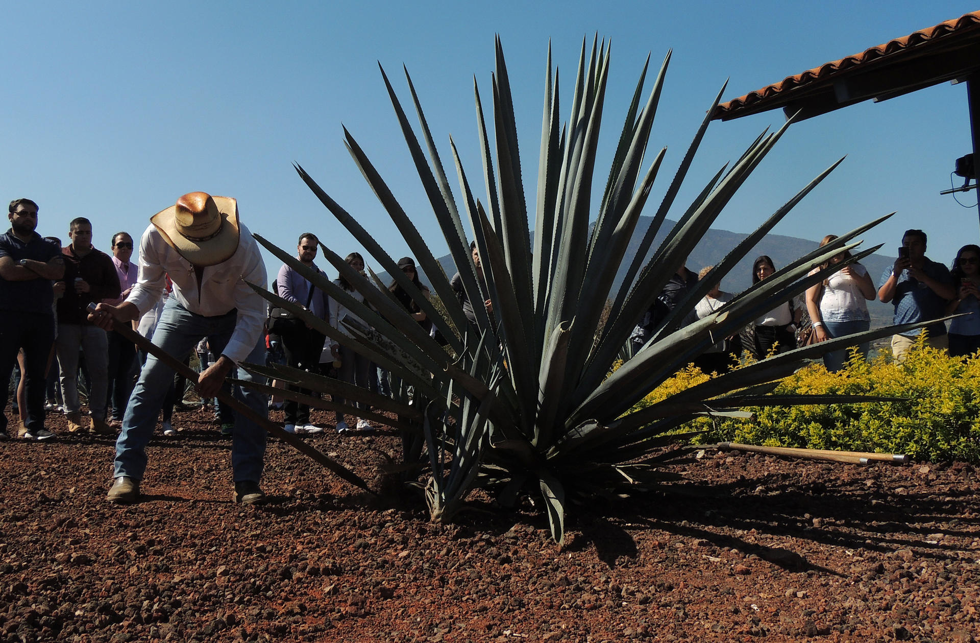 La secretaria de Turismo: No existe inseguridad para los turistas en México
