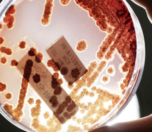 Ley General de Salud en México incorpora autocuidado para frenar resistencia antimicrobiana