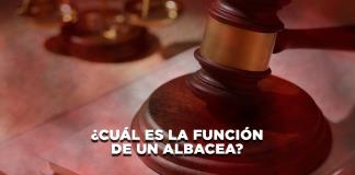 ¿Cuál es la función de un Albacea? - El Expresso de las 10 - Mi. 24 Septiembre 2024