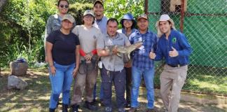 IRNA del CU Costa Sur: ingeniería única con 80% de práctica en campo y enfoque de conservación