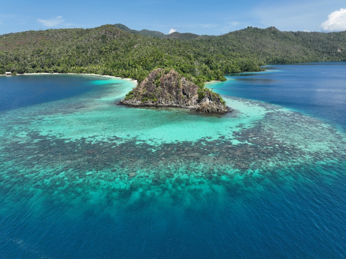 Explotación de níquel amenaza importante reserva de biodiversidad marina en Indonesia