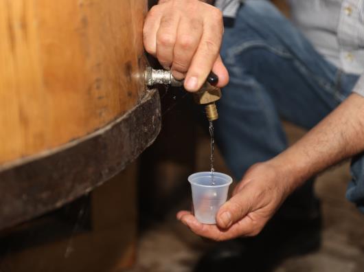 Mezcal zacatecano, tradición a la conquista de mercados globales de la mano de emprendedores mexicanos