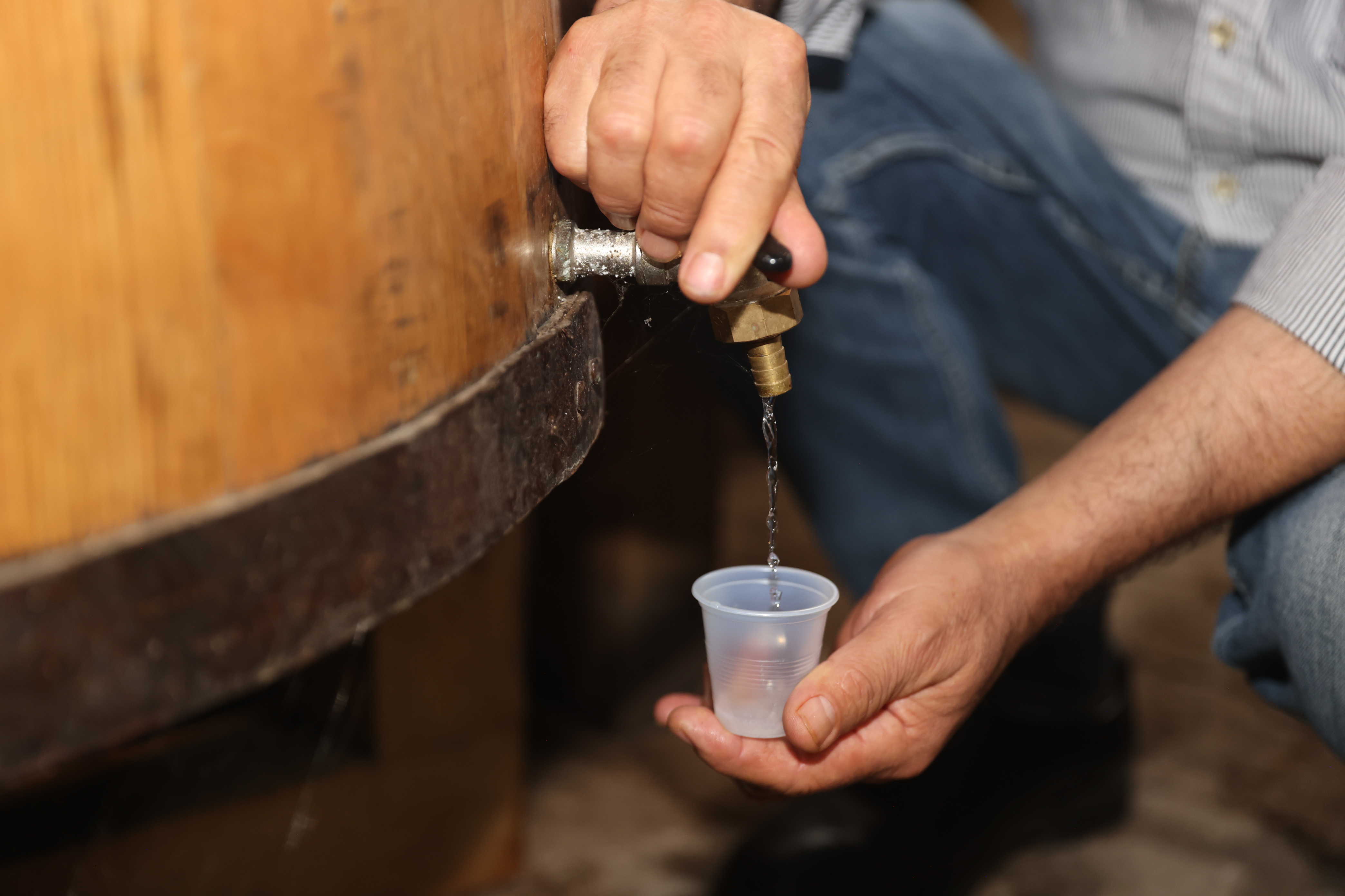 Mezcal zacatecano, tradición a la conquista de mercados globales de la mano de emprendedores mexicanos