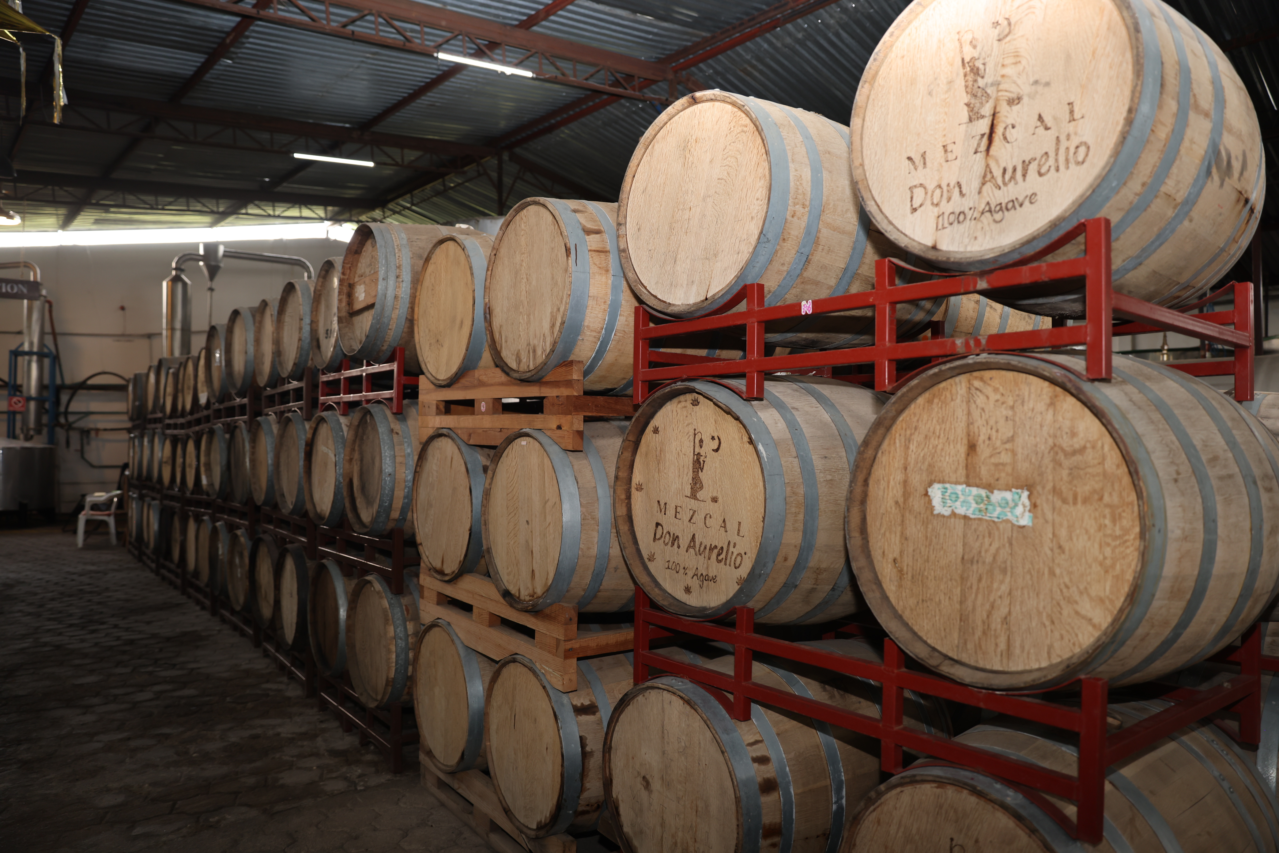 Mezcal zacatecano, tradición a la conquista de mercados globales de la mano de emprendedores mexicanos