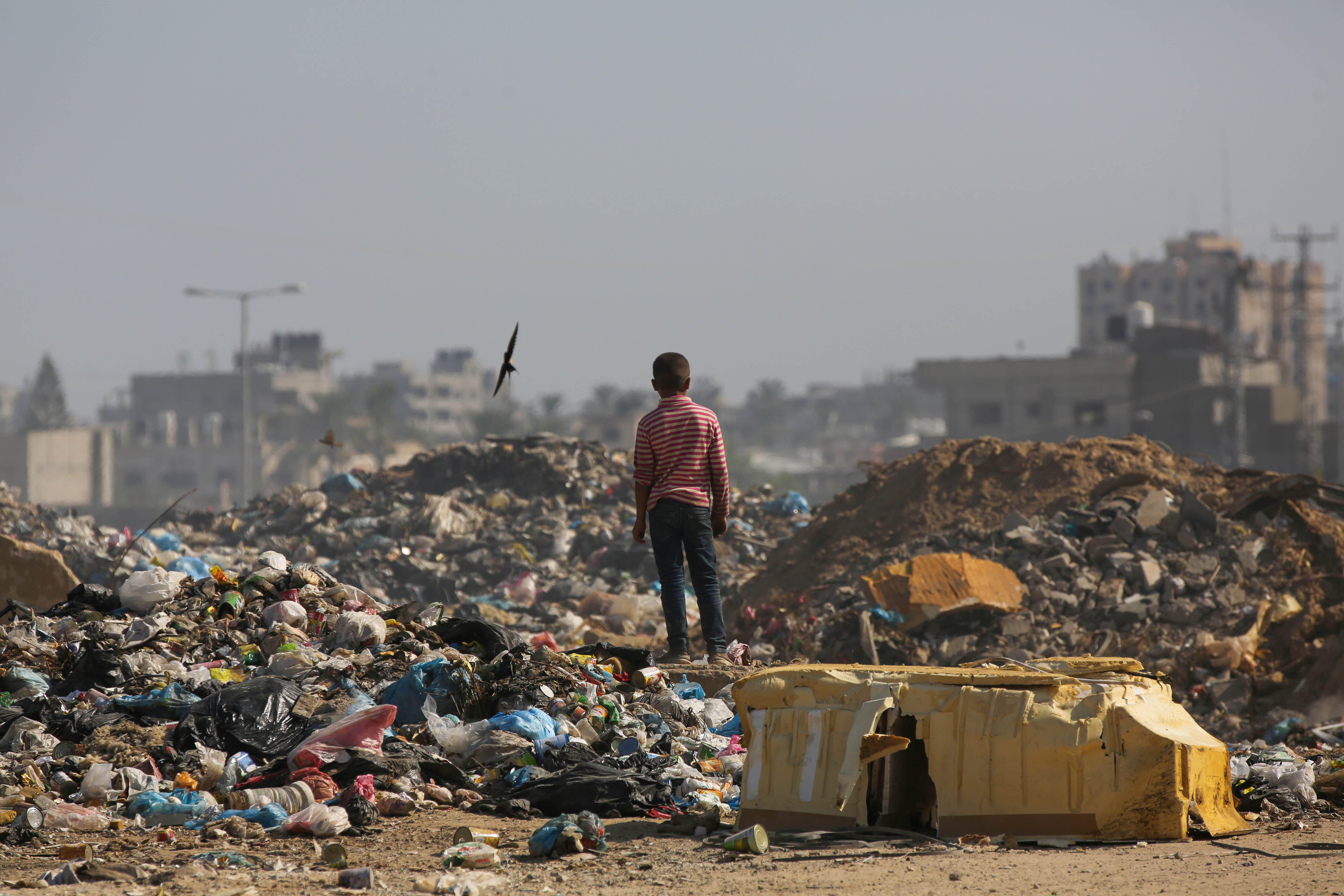 Gaza, a través de sus ojos