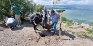 La Ribera de Cajititlán se viste de colores: Reforestan la Laguna para Impulsar el Turismo